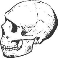 Amud skull (grayscale)