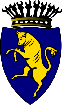 citt di torino 01
