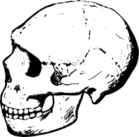 Amud skull (black and white)