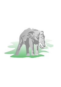 elephant 01