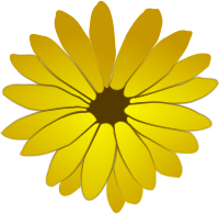 flower1 juliane krug 01