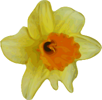 flower-16