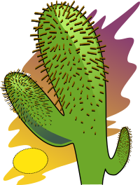cacuts 01