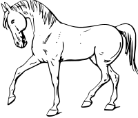 Walking horse outline
