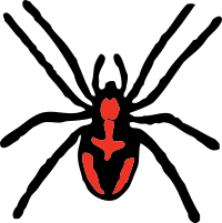 spider