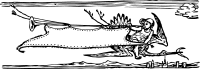 crane banner
