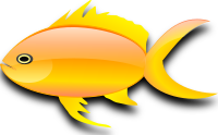 Pez dorado (gold fish)