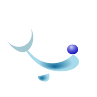 dolphin 01