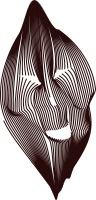 Laughing lines