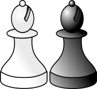 black and white bishop r