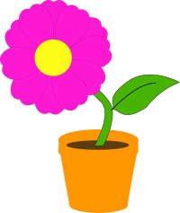 flowerandpot daniel ste r