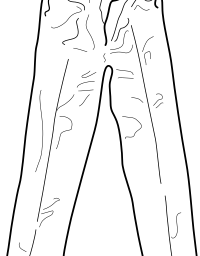 Various Clothing