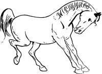 Prancing horse outline