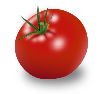 Tomate