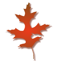 Oak Leaf - Autumn 2