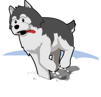 husky running in snow