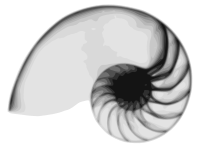 Nautilus