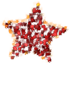 Autumn star