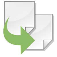 Duplicate icon
