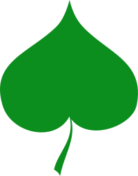 Spring symbol - Linden leaf