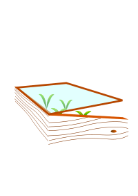 Cold Frame