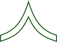 Soldier insignia