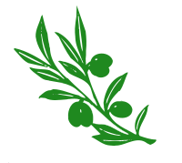 olive tree branch