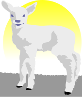 lamb