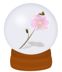 flower globe