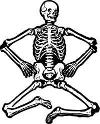 skeleton