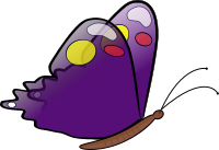 butterfly