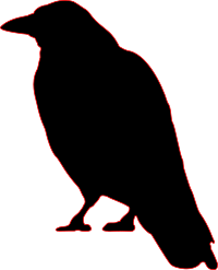 crow