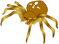 Rodney the Spider