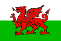 Cymru Flag (Wales)