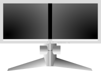 doublesight dual monitor