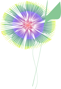 dream flower