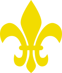 fleur de lis