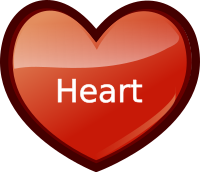 heart
