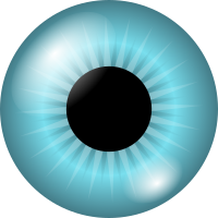 iris and pupil