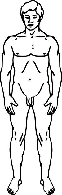 Line-drawing of a human man