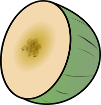 melon