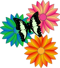 butterfly and flowers