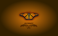 Butterfly (Wallpaper)