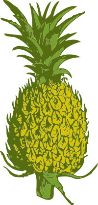 pineapple