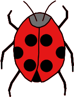 Ladybug