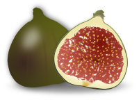 Fig Fruit