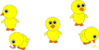 Funny Chicks Eating and in multiple positions Cartoon