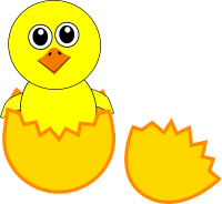 Funny Chick Cartoon Newborn Coming Out from the Egg