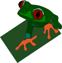 red-eyed frog