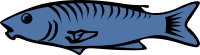 Blue fish